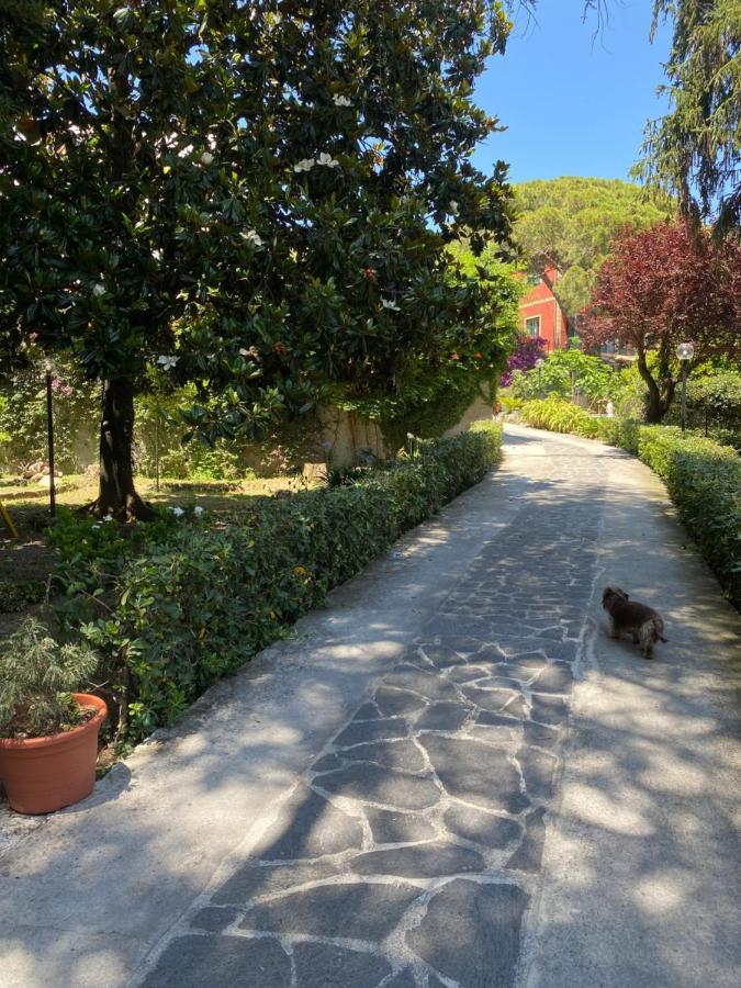 Le Magnolie Panzió Santa Margherita Ligure Kültér fotó